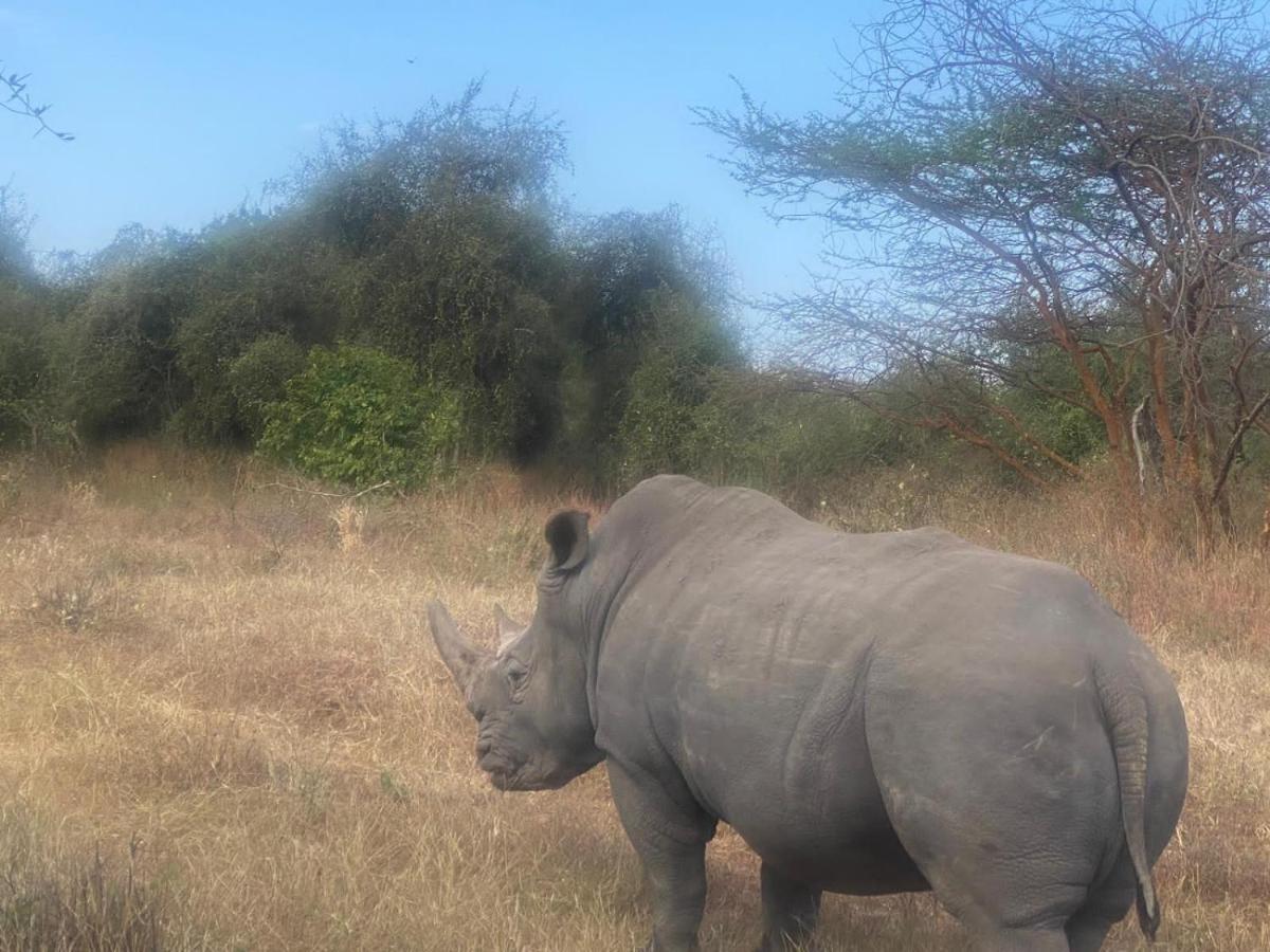 Auberge Africa Thiossane Сали Портудал Екстериор снимка
